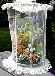 Decorated display cage