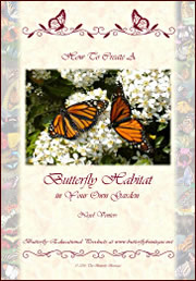 How to Create a Butterfly Habitat - cover
