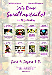 Let's Raise Swallowtails! (Part Two)