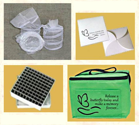 Butterfly Farming Supplies