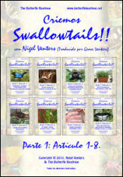 Criemos Swallowtails Parte Uno
