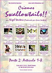 Criemos Swallowtails Parte Dos